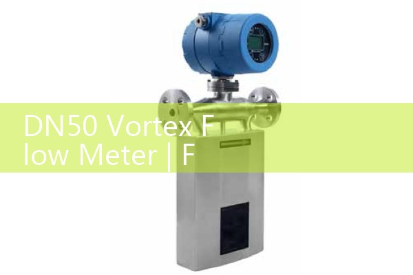 DN50 vortex flowmeter